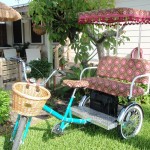Tory Burch Family Chariot Electric Tricycle all dressed up