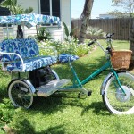 Tory Burch Family Chariot Electric Tricycle at its best